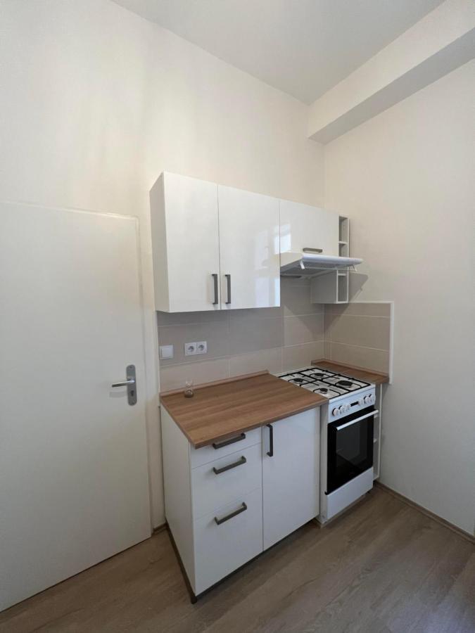 Apartmany Soukenicka プラハ エクステリア 写真